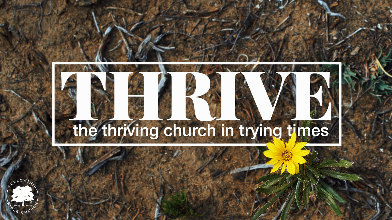 thrive3