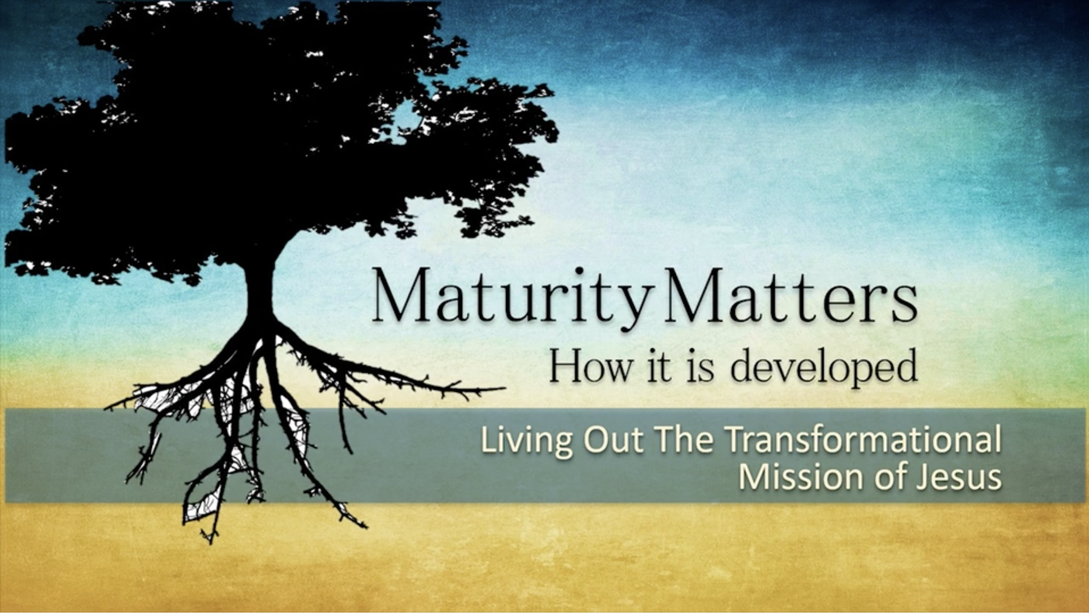 Maturity Matters series slide