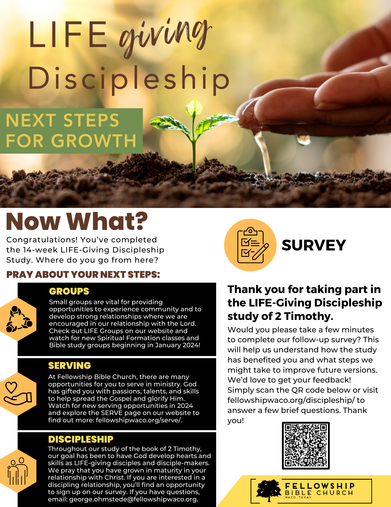 LIFE-giving Discipleship Next Steps Flyer