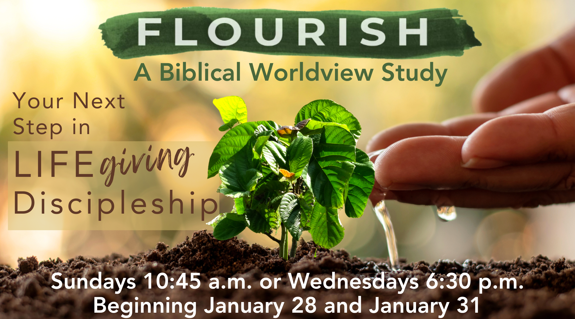 Flourish Biblical Worldview 2