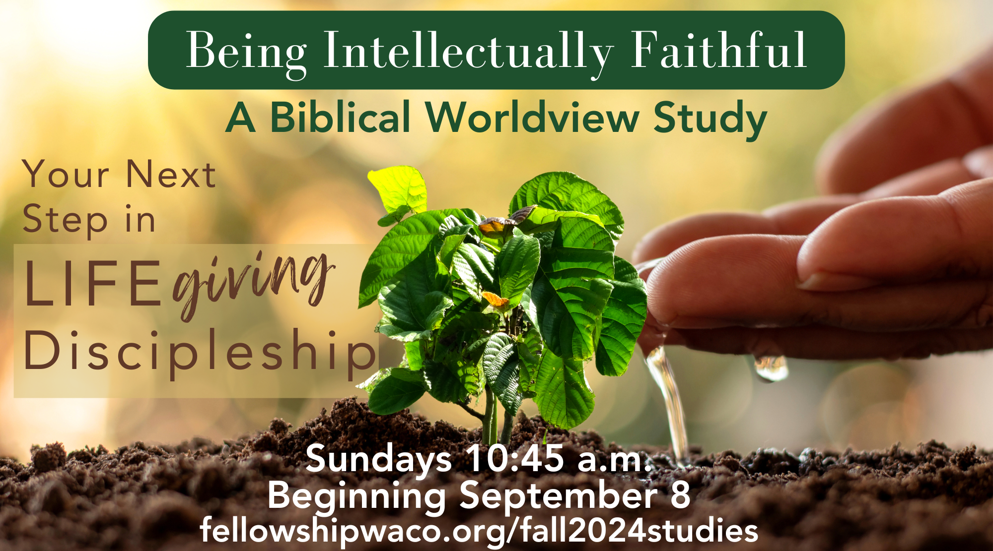 Biblical worldview fall 2024